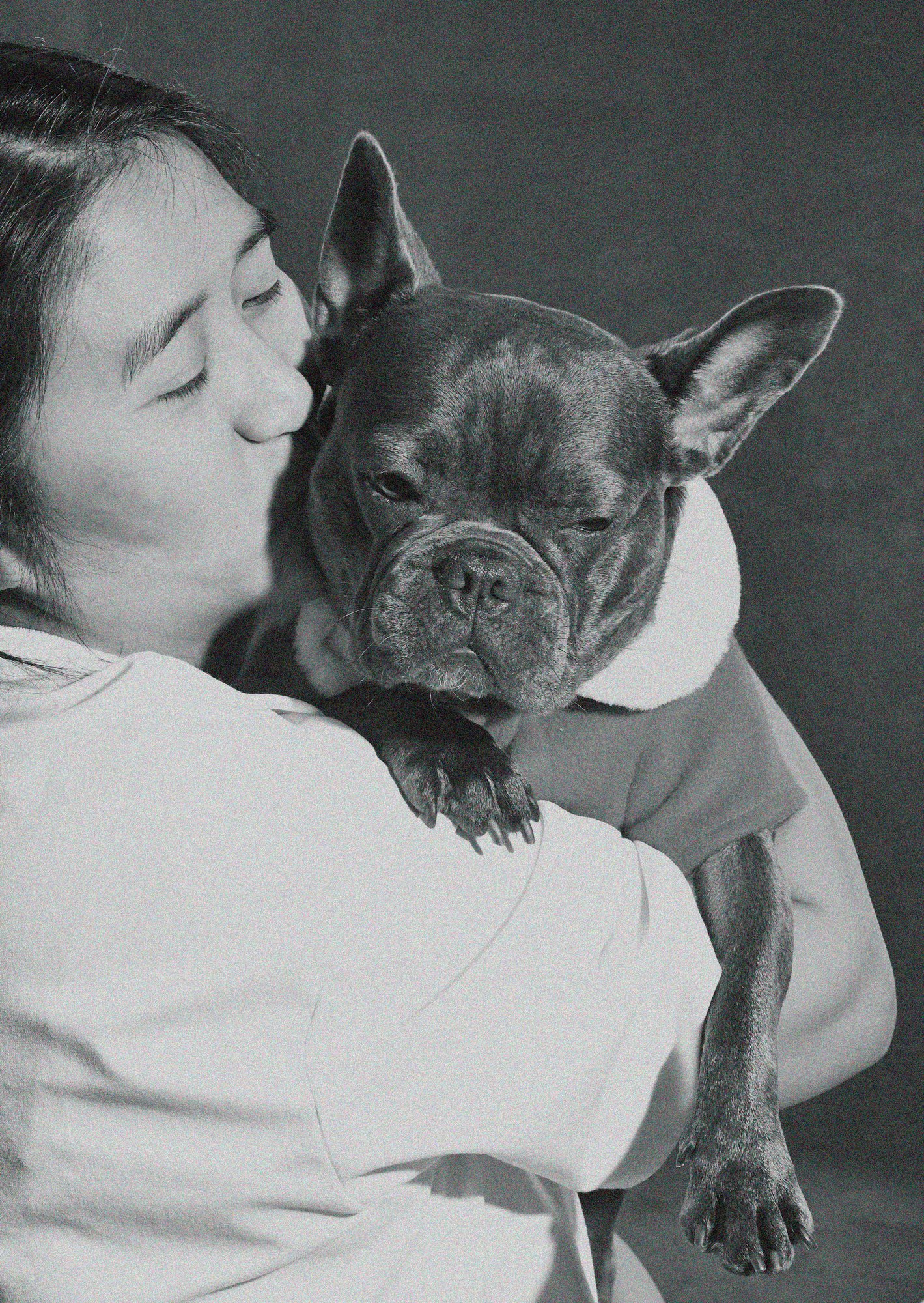 Bulldogs, family session