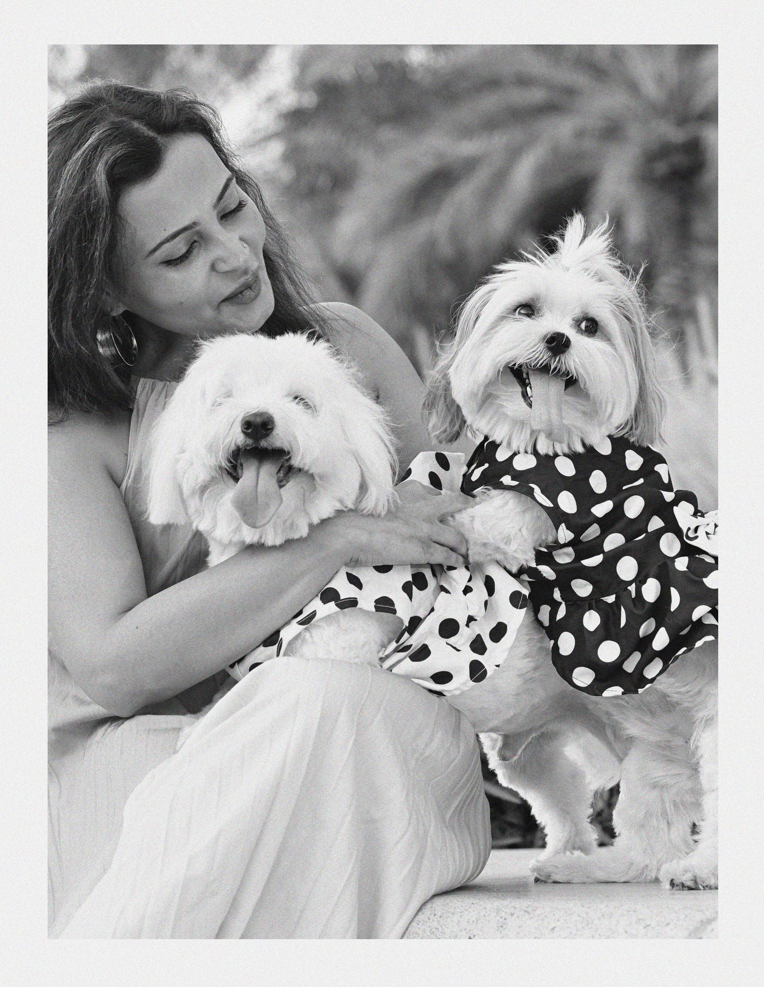 Gucci Dolcy, family session