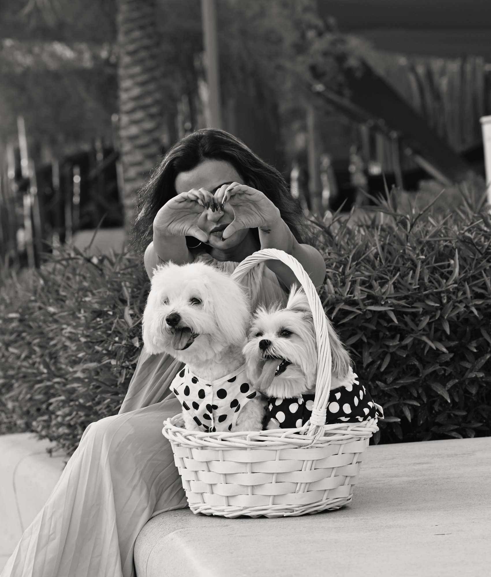 Gucci Dolcy, family session