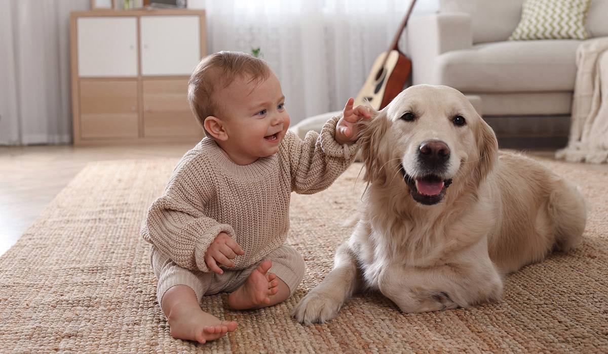 Pet at home session