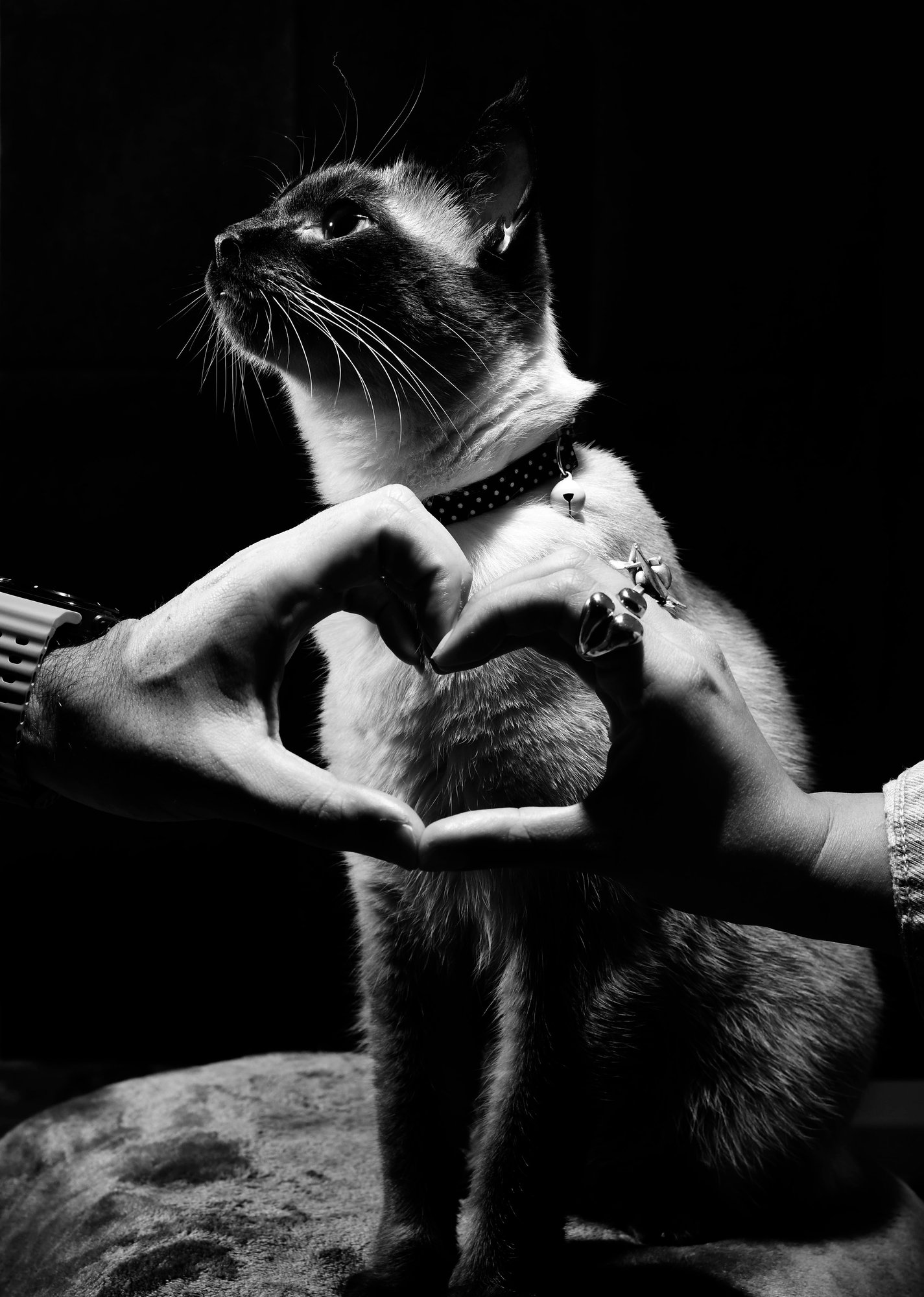 Nila, family session