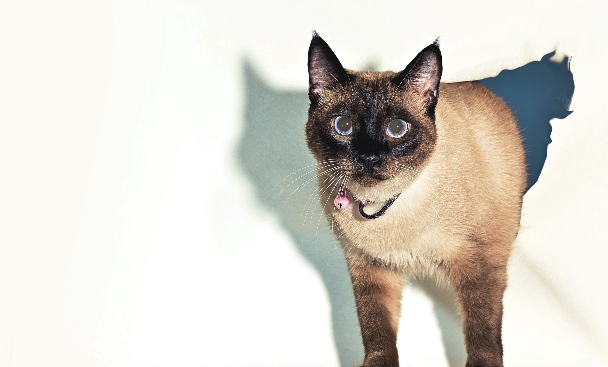 Nila, at-home session