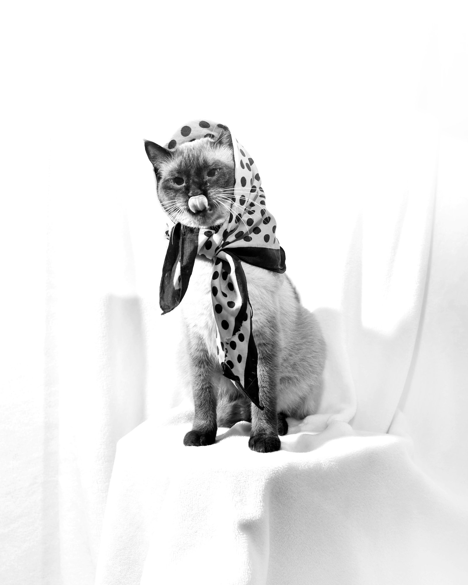 Nila, at-home session