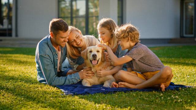Family Sessions